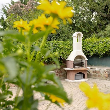 Ferienhaus Am Bergeshang 블랑켄부르크 외부 사진