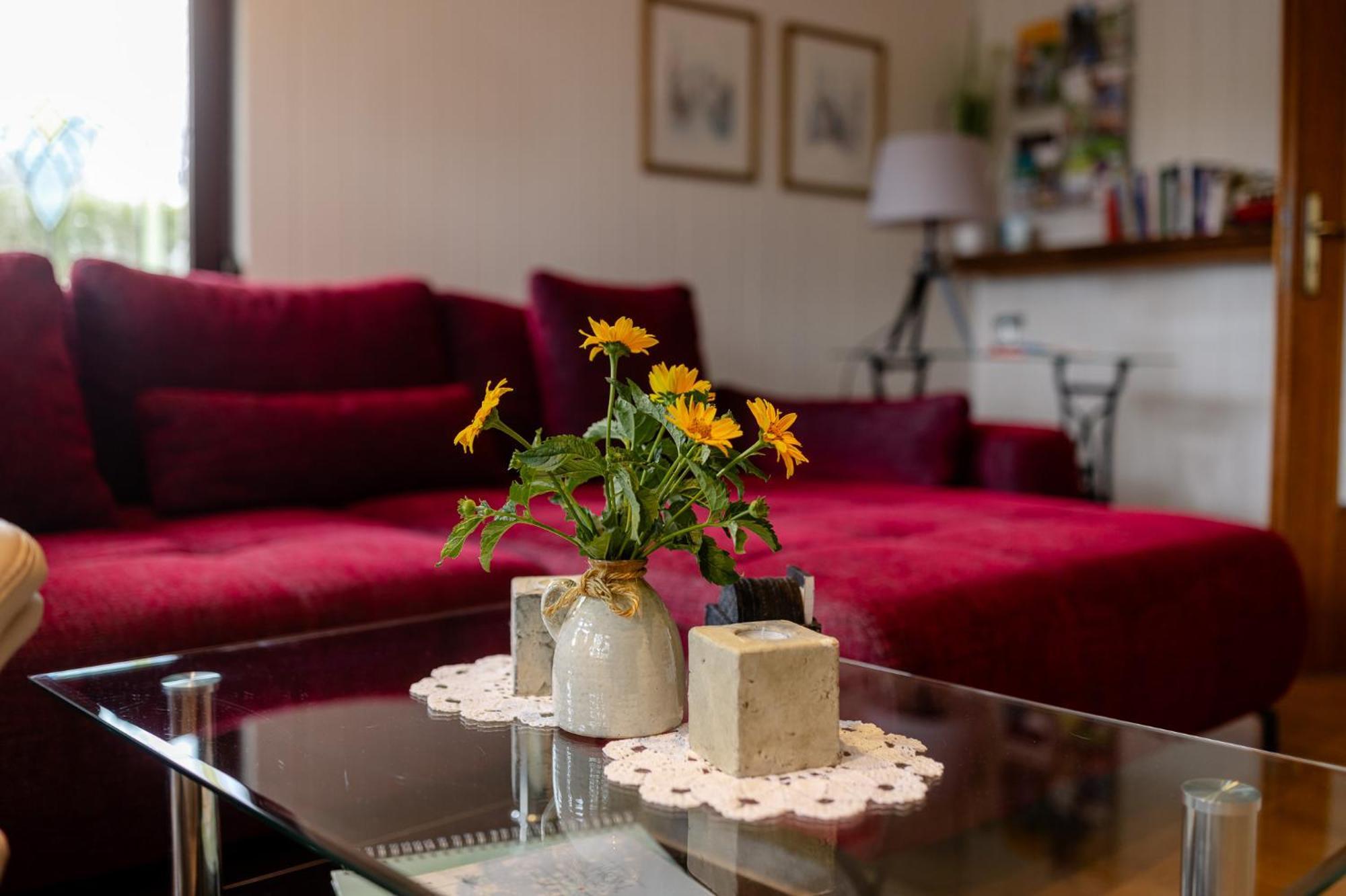 Ferienhaus Am Bergeshang 블랑켄부르크 외부 사진